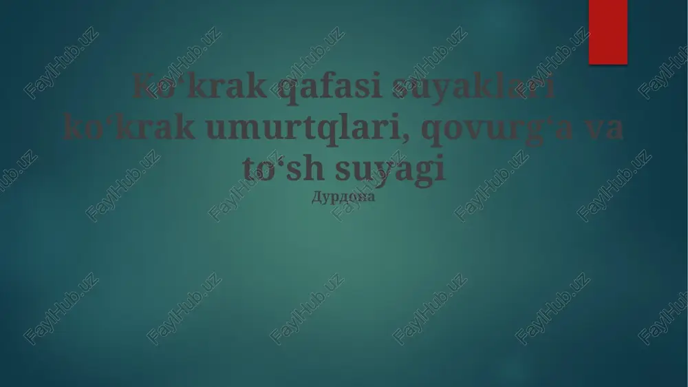 koʻkrak qafasi suyaklari — PPTX