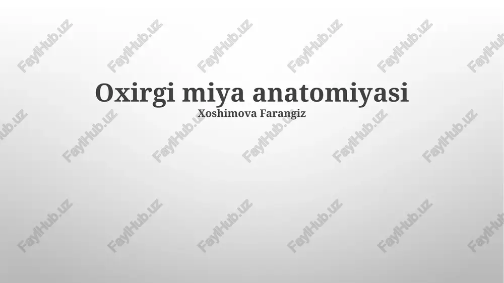 oxirgi miya anatomiyasi — PPTX