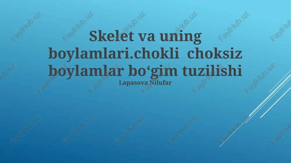 skelet va uning boylamlari — PPTX