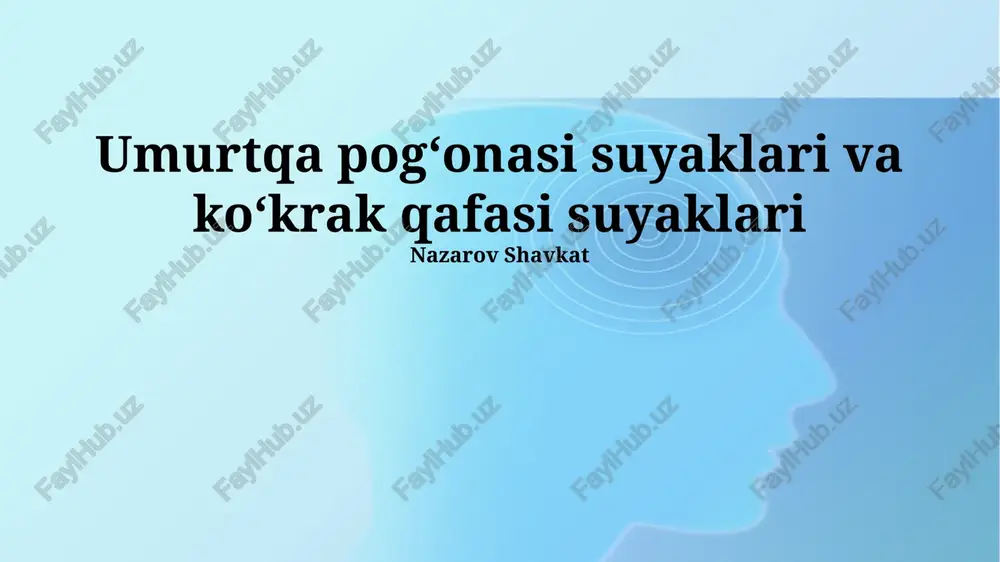 umurtqa pogʻonasi suyaklari va koʻkrak qafasi suyaklari — PPTX
