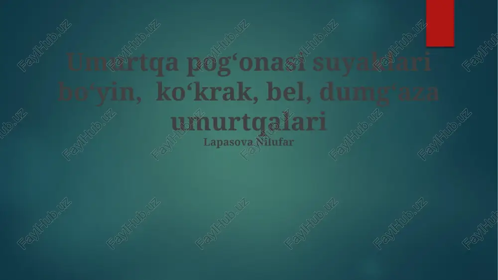 umurtqa pogʻonasi suyaklari — PPTX