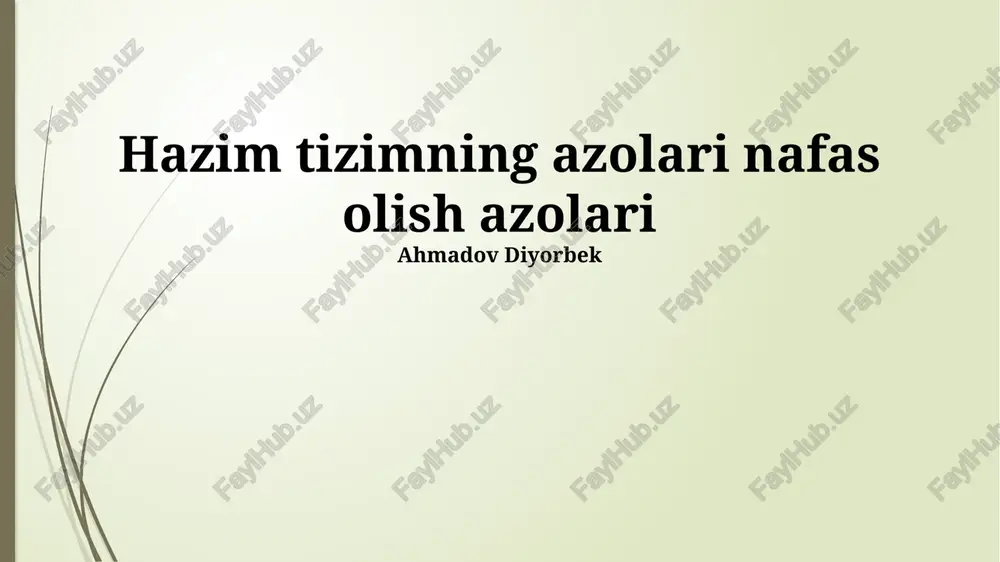 hazim tizimi va nafas olish tizimi — PPTX