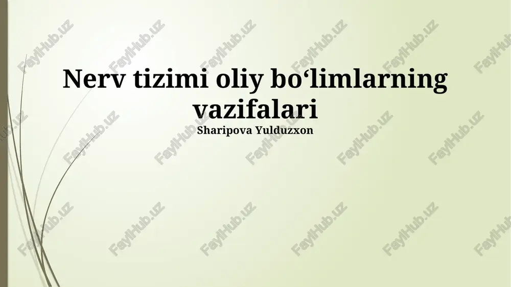 nerv tizimi oliy boʻlimlarning vazifalari — PPTX