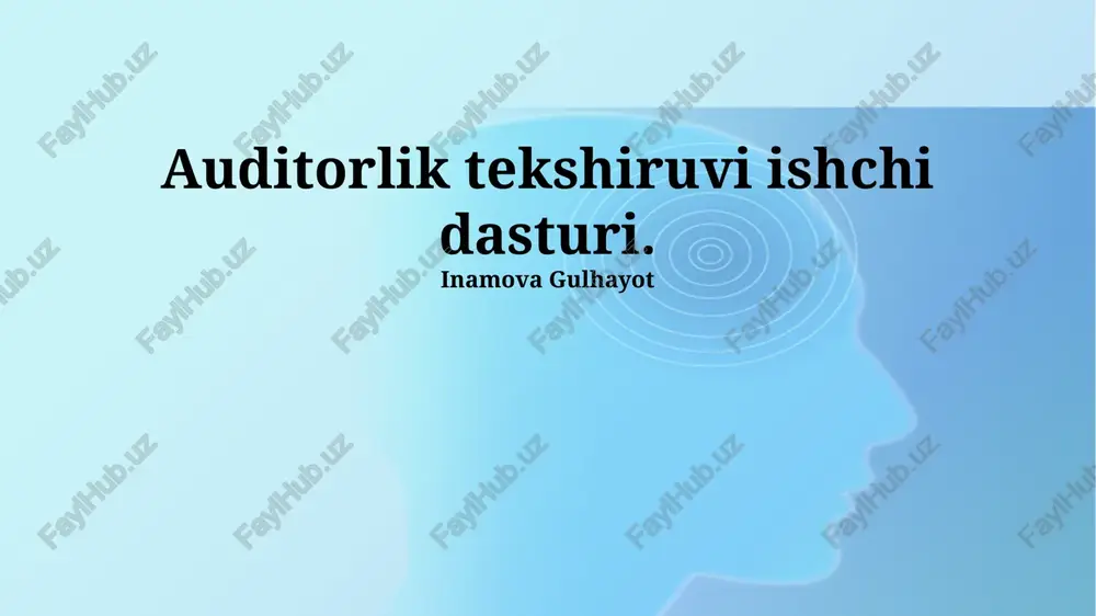 auditorlik ishchi dasturi — PPTX