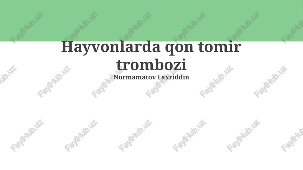 hayvonlarda qon tomir trombozi — PPTX