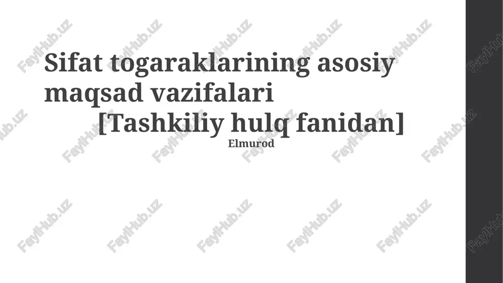 chiziqli dasturlash — PPTX