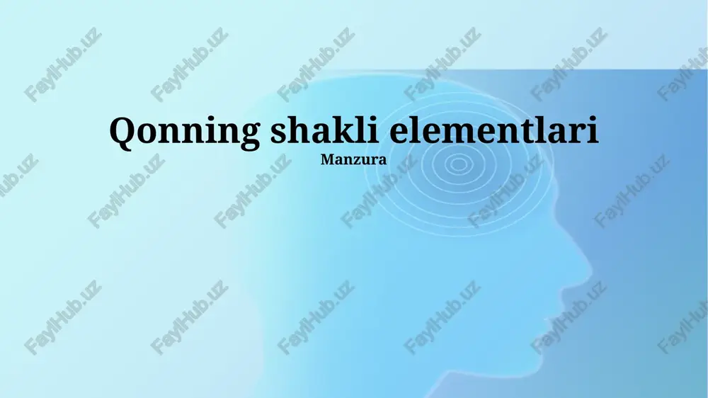 qonning shakli elementlari — PPTX