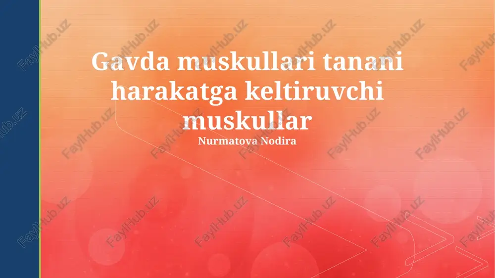 skeletal mushaklar: umumiy ko'rinish — PPTX