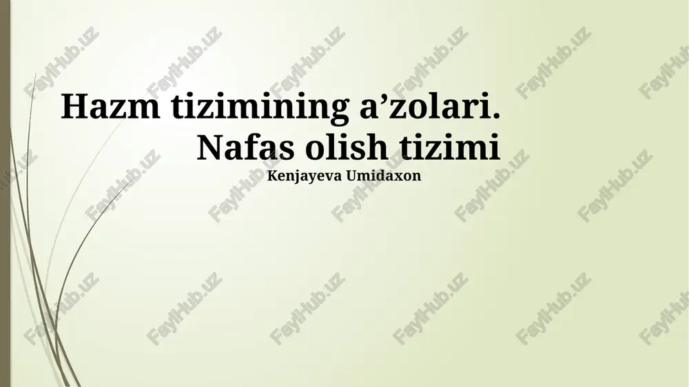 nafas olish tizimi — PPTX