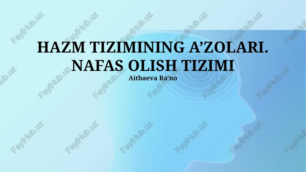 hazm tizimining a’zolari. nafas olish tizimi — PPTX