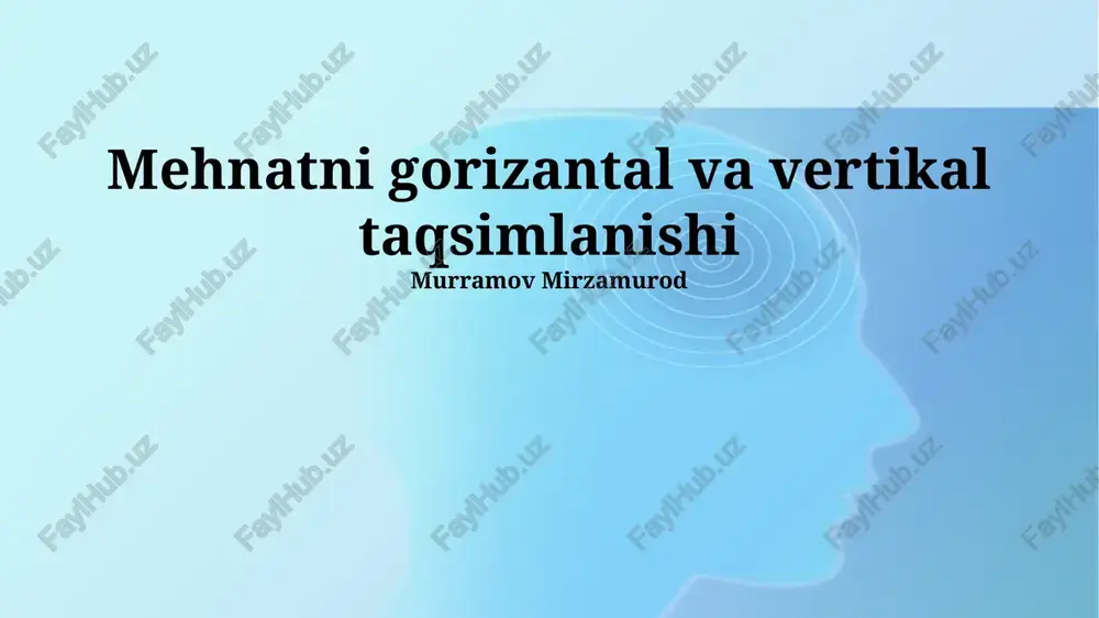 mehnatni gorizantal va vertikal taqsimlanishi — PPTX
