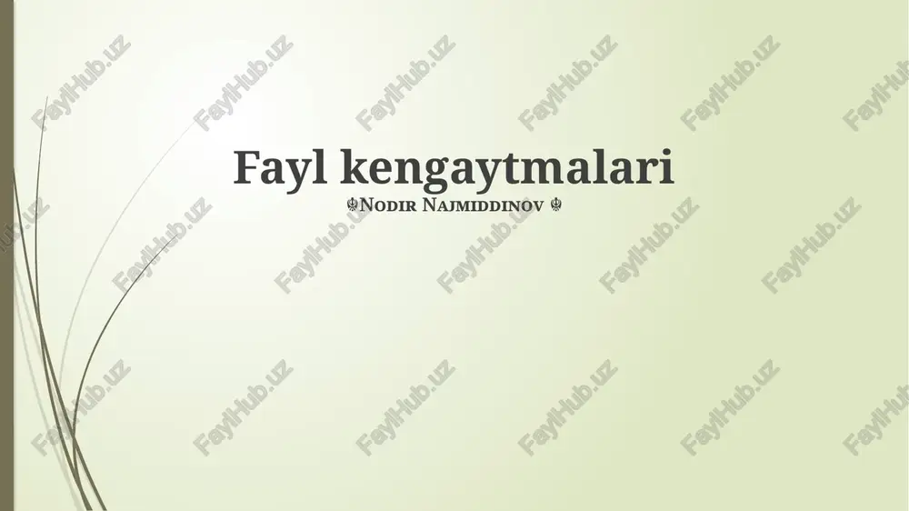fayl kengaytmalari — PPTX