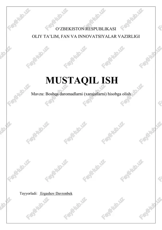 boshqa daromadlarni (xarajatlarni) hisobga olish — DOCX