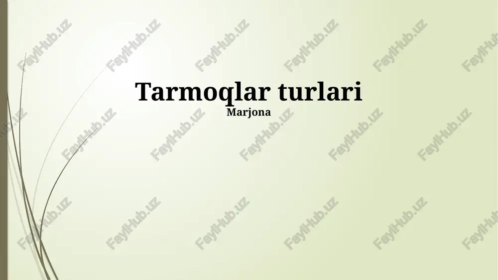 tarmoqlar turlari — PPTX