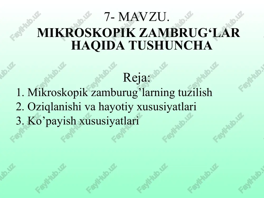 mikroskopik zamburug’lar — PPT
