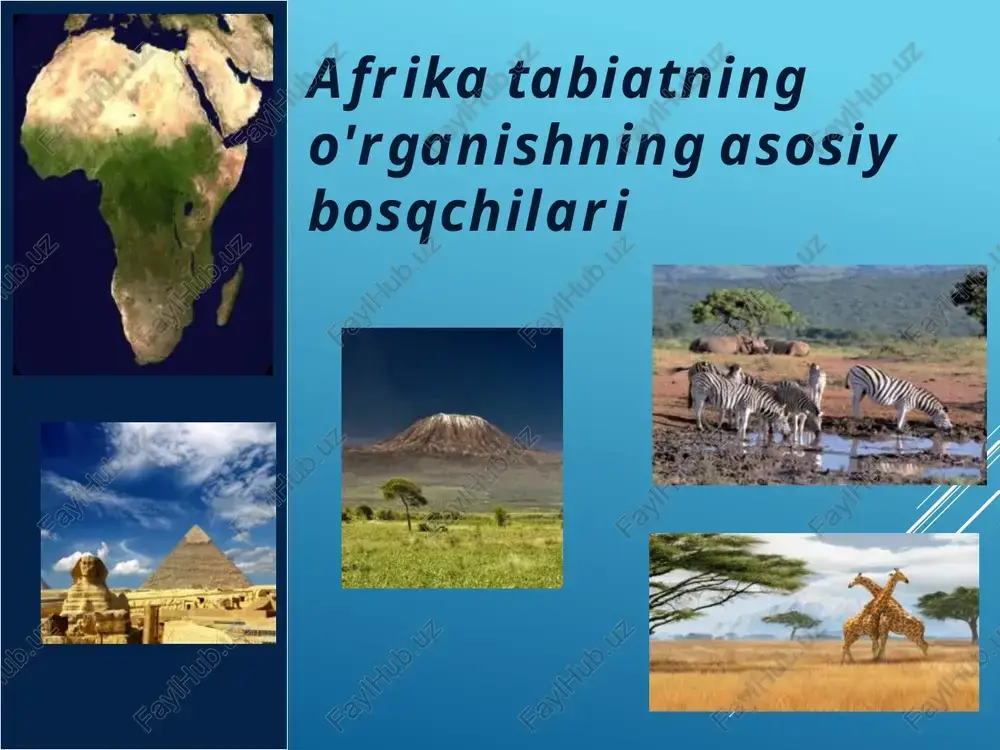 afrika tabiatning o'rganishning asosiy bosqchilari — PPTX