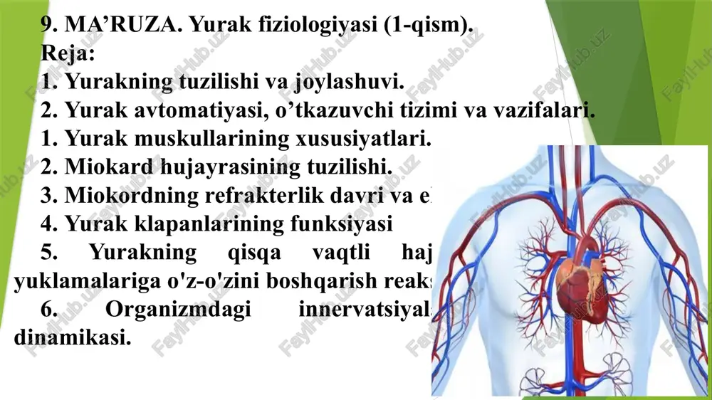 yurakfiziologiyasi(1-qism) — PPTX