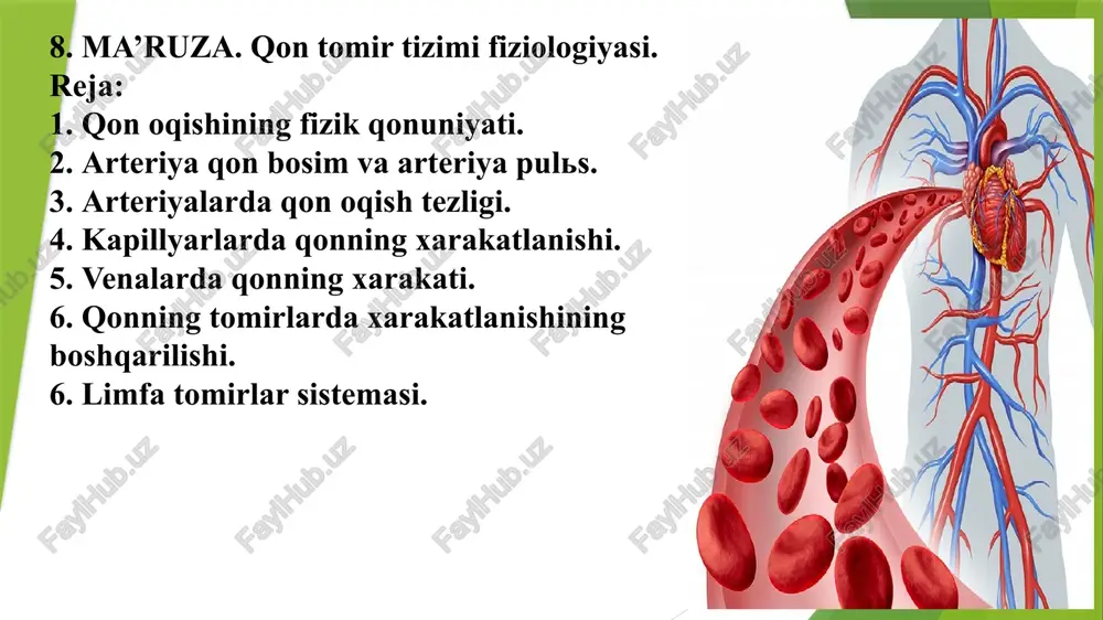 ma’ruza.qontomirtizimifiziologiyasi — PPTX
