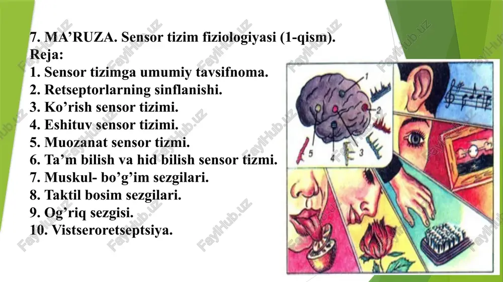 sensor tizim — PPTX