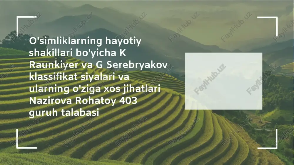 k raunkiyer va g serebryakov klassifikatsiyasi — PPTX