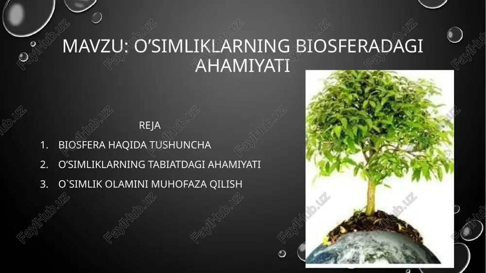 o'simliklarning biosferadagi ahamiyati — PPTX