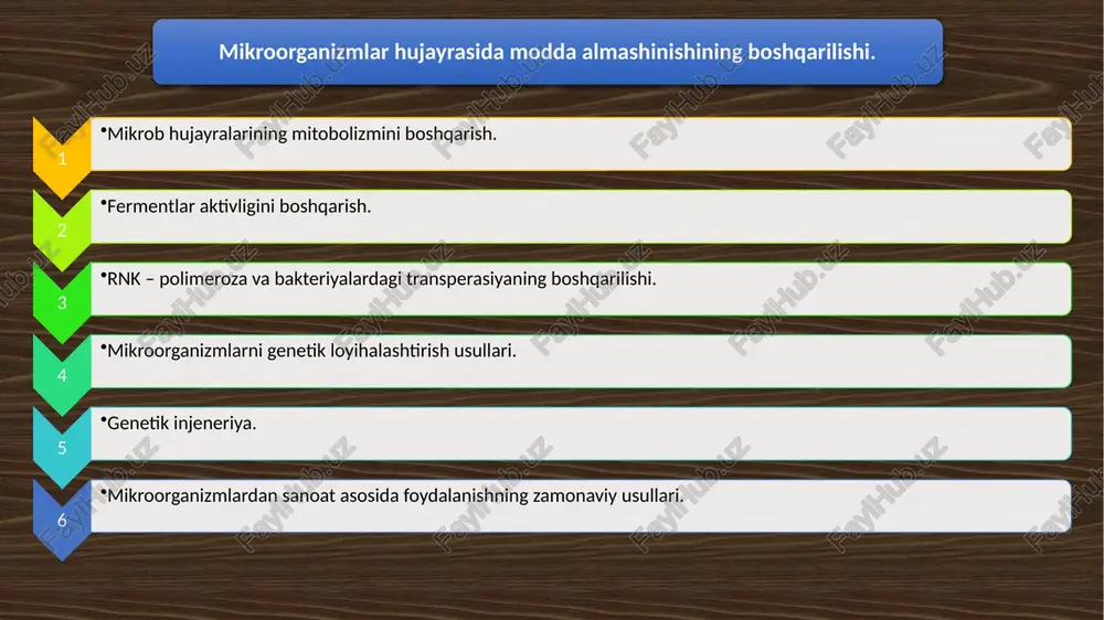 mikrobhujayralarini metabolizmini boshqarish — PPTX