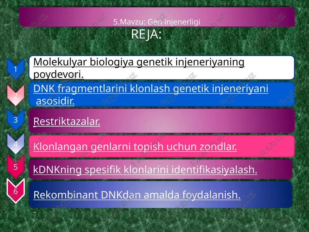 geninjenerligi — PPTX