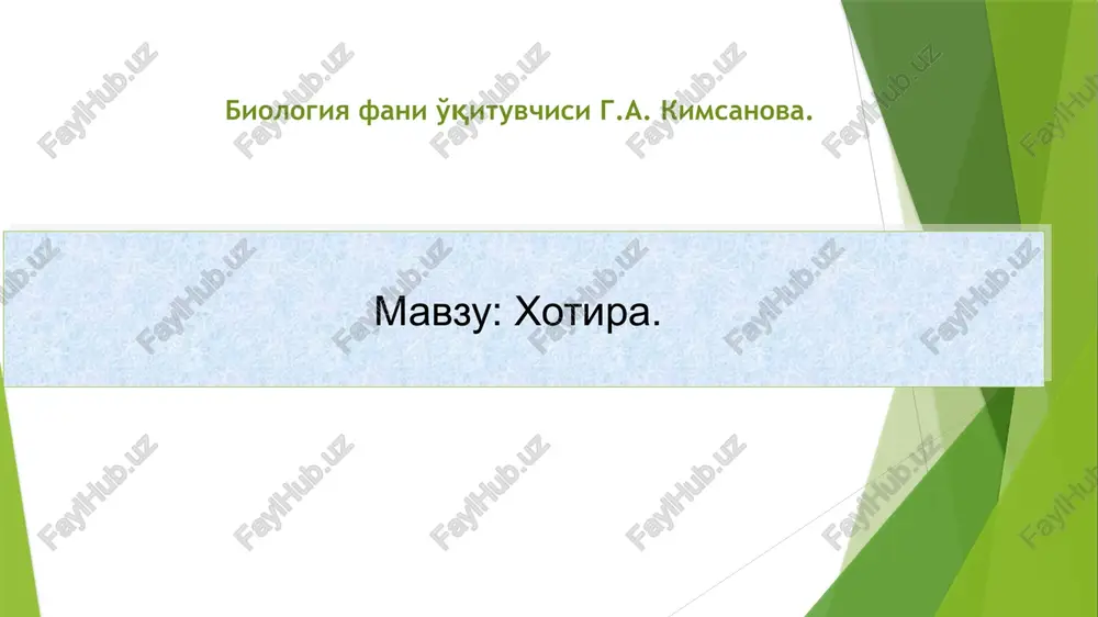 xotira — PPTX