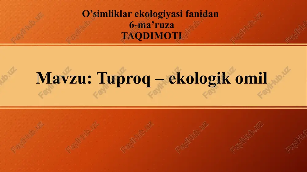 o’simliklar ekologiyasidan 6-ma’ruza taqdimoti — PPTX