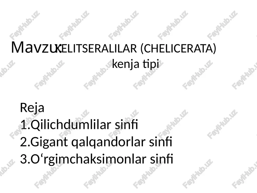 xelitseralilar (chelicerata) — PPTX