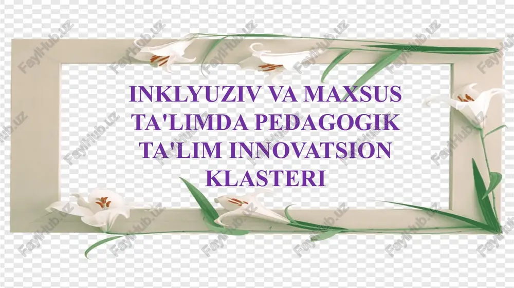 inklyuziv va maxsus ta'limda pedagogik ta'lim innovatsion klasteri — PPTX