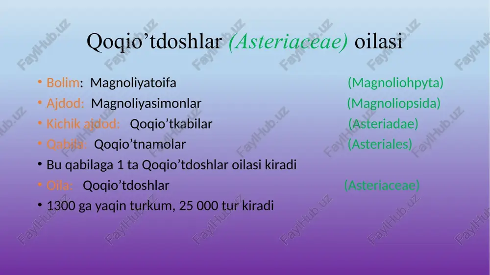 qoqio’tdoshlar(asteriaceae)oilasi — PPTX