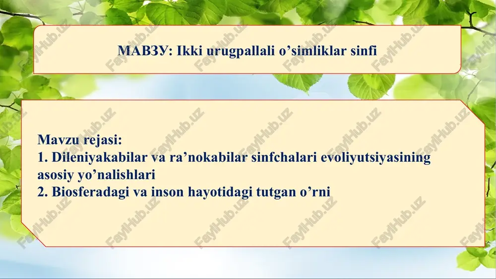 ikki urugpallalio’simliklar sinfi — PPTX