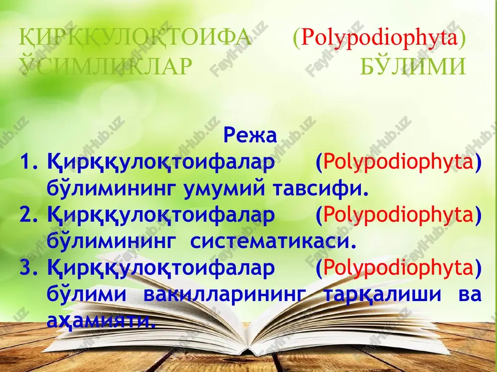 qirqquloqtoifalar (polypodiophyta)bo'limi — PPTX
