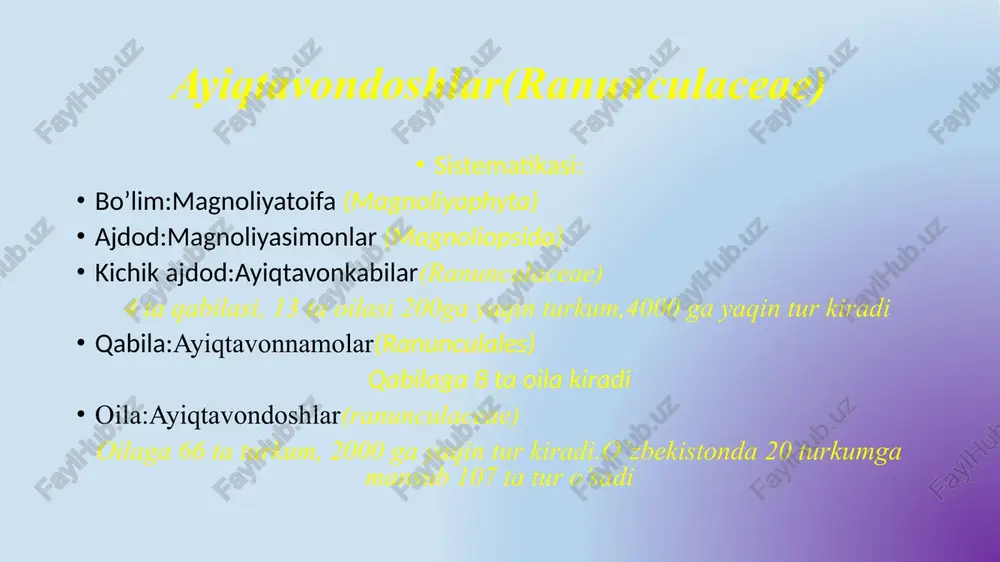 ayiqtavondoshlar(ranunculaceae) — PPTX