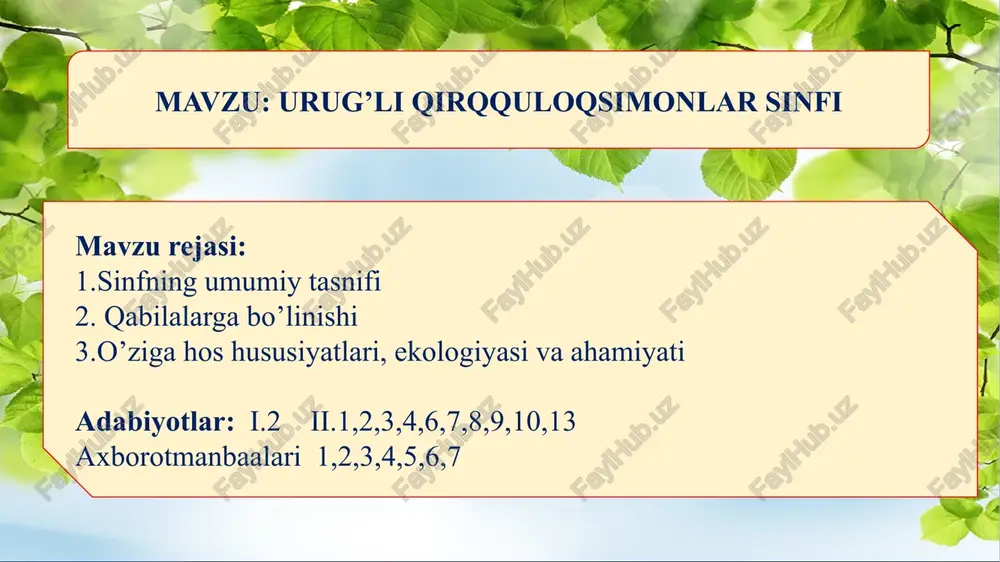urug’li qirqquloqsimonlar sinfi — PPTX