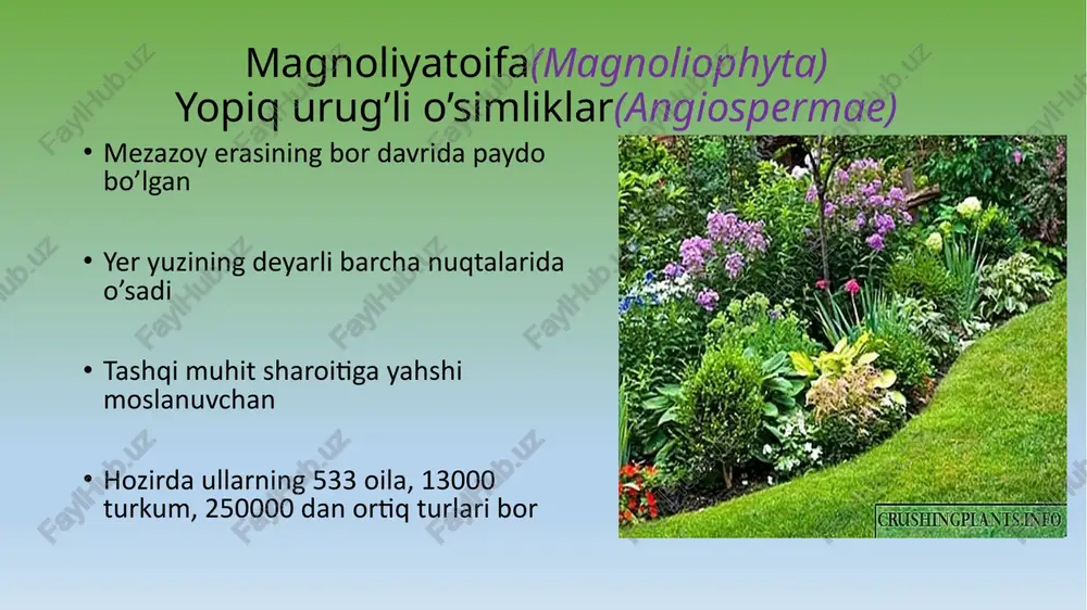 magnoliyatoifa(magnoliophyta) — PPTX