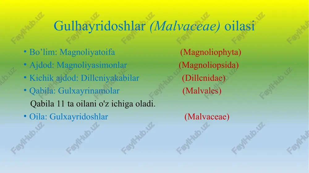 gulhayridoshlar(malvaceae)oilasi — PPTX