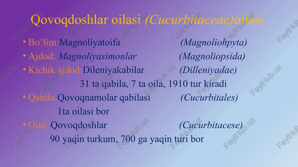 qovoqdoshlar oilasi — PPTX