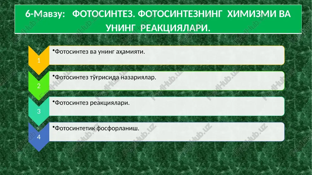 fotosintez — PPTX