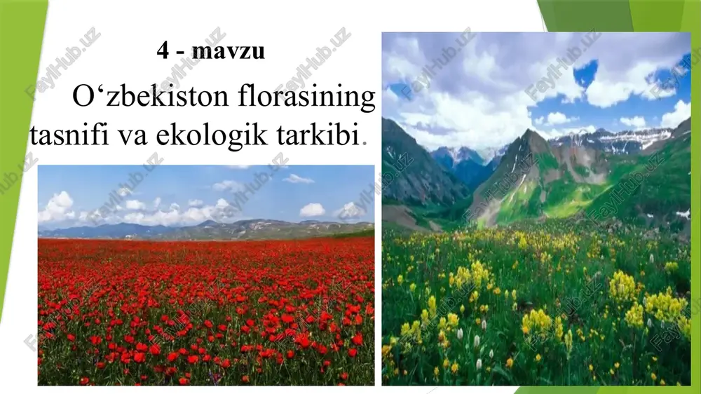 o‘zbekiston florasining tasnifi va ekologik tarkibi — PPTX
