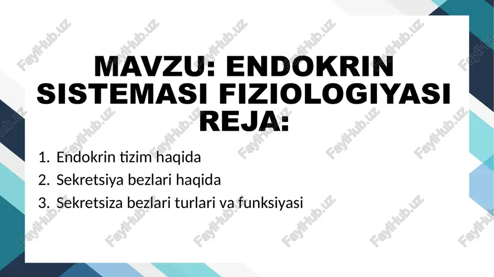 endokrin sistemasi fiziologiyasi — PPTX