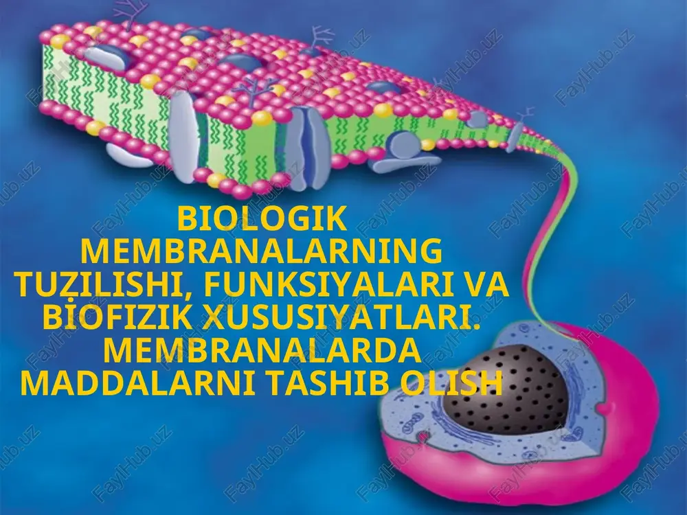 biologik membranalar — PPT