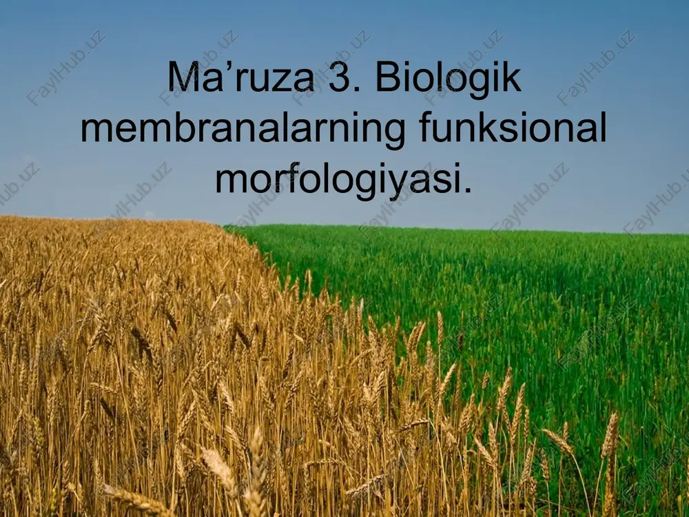 biologik membrana — PPT