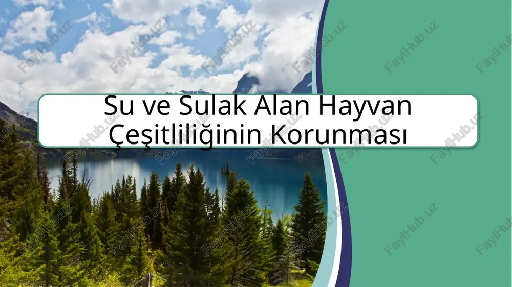 su ve sulak alan hayvan çeşitliliğinin korunması — PPTX