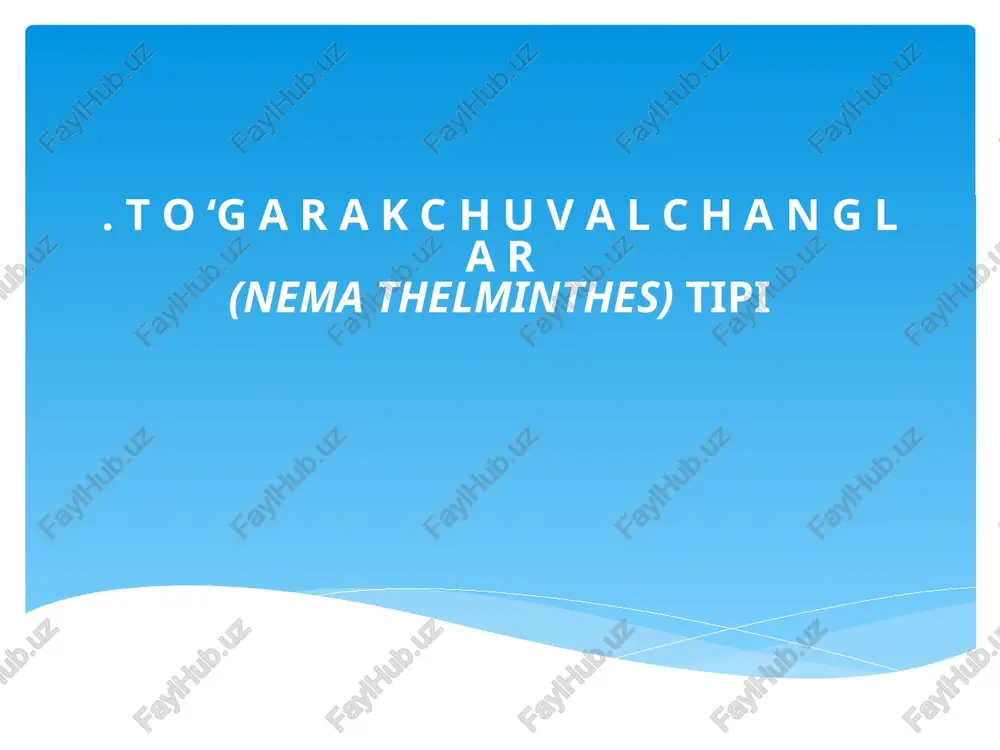 to‘garakchuvalchanglar (nematoda) tipi — PPTX