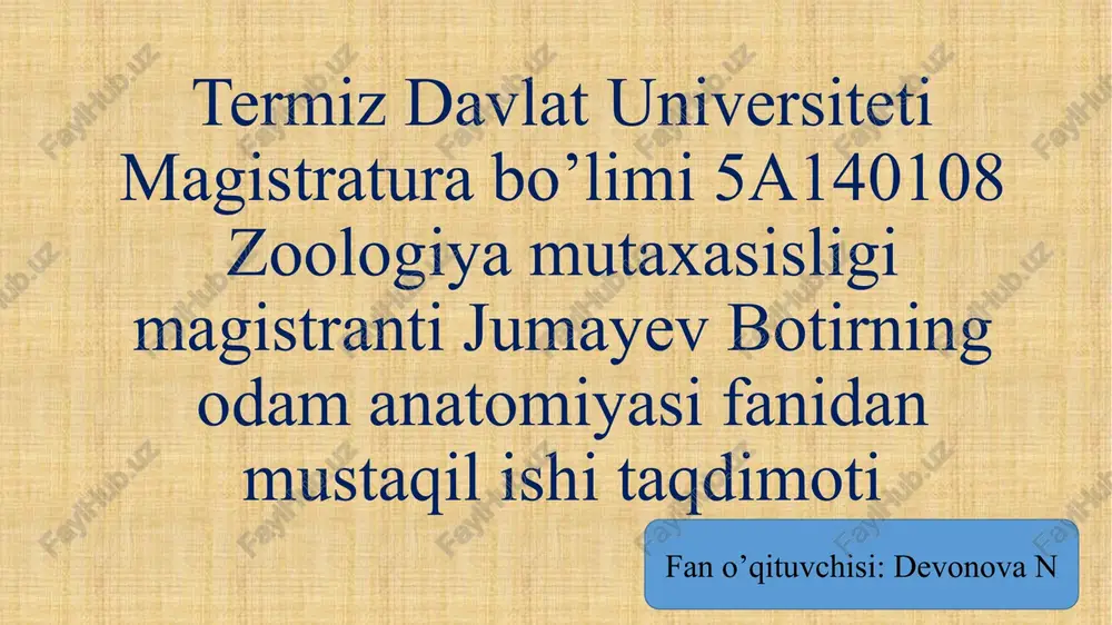 ovqat hazm qilish a’zolari — PPTX