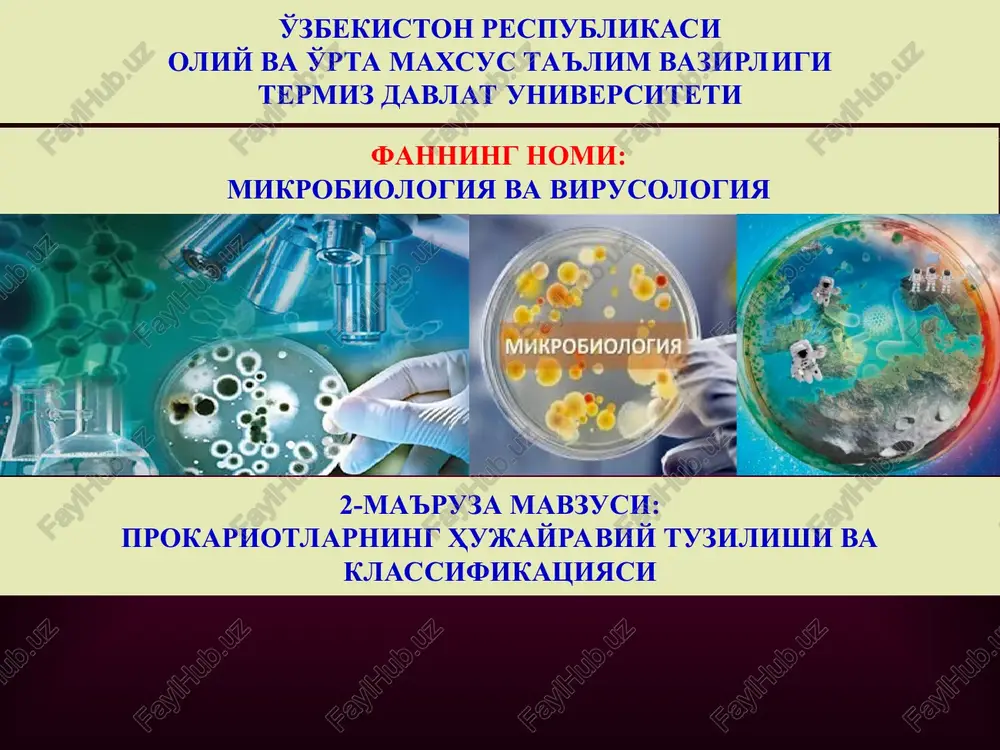 mikrobiologiyava virusologiya — PPT