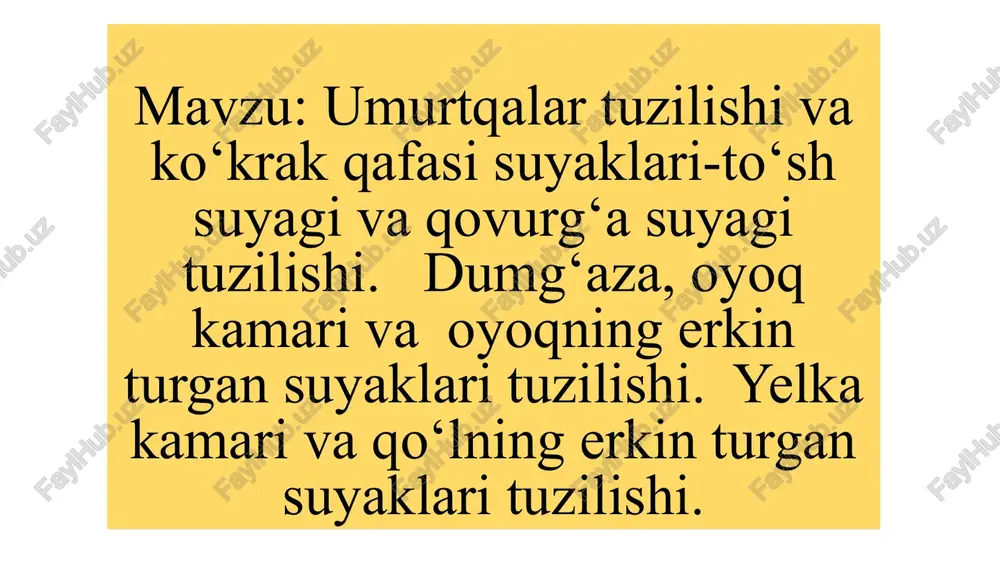 umurtqa suyagi va qovurg'a suyagi tuzilishi — PPTX