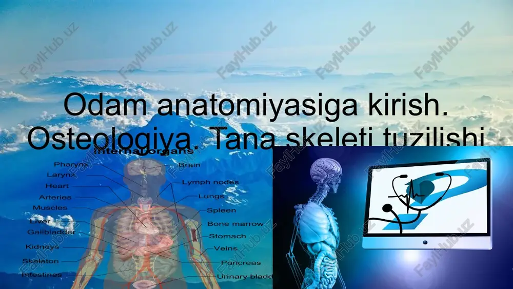 odam anatomiyasi — PPTX